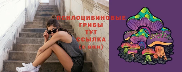 СК Нея