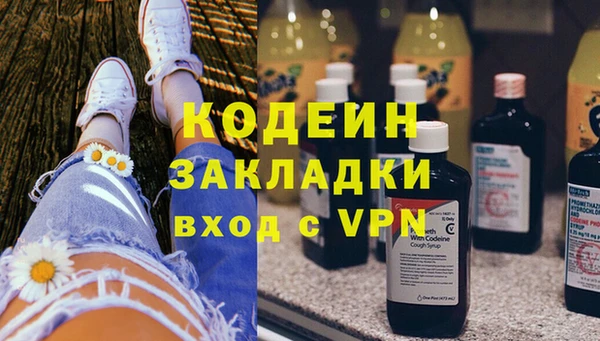ешки Болотное