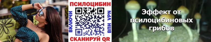 дарнет шоп гидра как зайти Псилоцибиновые грибы мицелий Бокситогорск